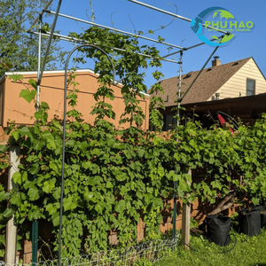 Hot Item Product PALM MAT / COIR ROPE Durable and Natural: Coir Rope for Hanging Trellis with High Quality - Product Image 4