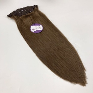 Amostra grátis Cabelo Bundle Venda Quente Clipe em 100% Vietnam Raw Virgin Remy Cabelo Humano Alinhado Com Lista de Preços por Atacado