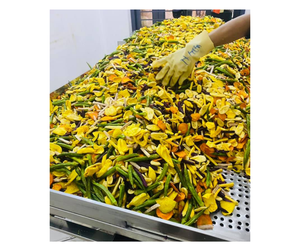 Fournisseur vietnamien de légumes secs mélangés de haute qualité - Mélange de produits naturels pour la cuisine et l'approvisionnement en ingrédients - Product Image 4