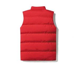 Vestes d'hiver épaisses et chaudes Vêtements à bulles avec logo personnalisé pour hommes Gilet rembourré pour hommes High Street Style OEM Oversized 2025 Big Size - Product Image 6