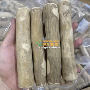 อีโคทูโก เวียดนาม ไม้กาแฟย่อยสลายได้ทางชีวภาพสำหรับสุนัขกัดเล่น |   ผลิตภัณฑ์จากมะพร้าวแท้ 100% - Product Image 4
