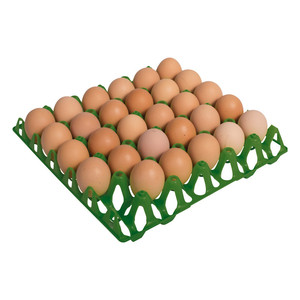 Plateau à oeufs en plastique pour 30 - Product Image 1
