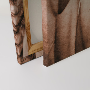 ภาพผ้าใบทำในเยอรมนี-ตกแต่งบ้านขนนกสีชมพู-จิตรกรรมฝาผนังในสีชมพูและสีเบจ-ภาพบนกรอบเปล - Product Image 4