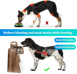 ชามและเครื่องให้อาหารสัตว์เลี้ยงแบบพกพาขนาดและรูปแบบต่างๆสำหรับบ้านและการเดินทางใช้งานง่ายต่อการเคลื่อนย้ายกล่องบรรจุน้ำ - Product Image 4