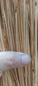 Peau de rotin du Vietnam de haute qualité 2024, prix usine artisanal, produits en matériau de rotin 99 Gold Data Vivia - Product Image 5