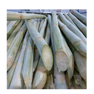 Vietnam produced Frozen Sugarcane Sticks soft sweet taste long storage and ready for beverage industrial applications - Product Image 2
