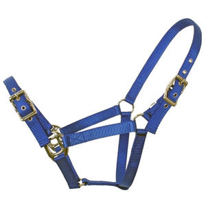 Best Selling <b>Horse</b> Nylon Headcollar Customize Color Halters Excellent Quality Customize Logo and Color - Product Image 6