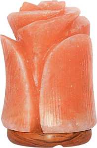 Lampes en sel naturel rose de l'Himalaya fabriquées à la main en cristal personnalisé E26 Source de lumière LED électrique Dimmable 2700K blanc chaud utilisation de la chambre - Product Image 6