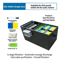 Équipement de filtration pour bassin rectangulaire extérieur, système de purification d'eau automatique 220V pour aquariums de carpes koï et applications aquacoles