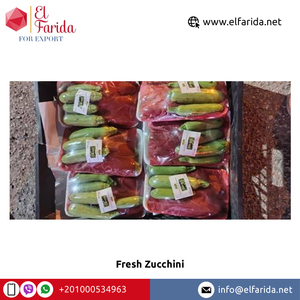 High Quality Premium Grade Organic <b>Fresh</b> Zucchini <b>Vegetables</b> Bulk Quantity Exporter From Egypt Wholesale Supply - Product Image 2