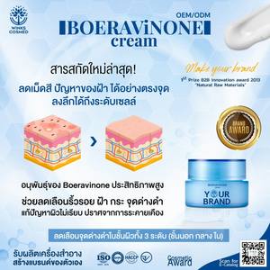 Gel de Boeravinona de Marca Privada OEM ODM, Vitamina B5, Arbutina, Glicerina, Antienvejecimiento, Antiarrugas, Blanqueador, Reductor de Manchas Oscuras para la Piel - Product Image 5