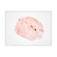 Gras de queue d'agneau halal IQF congelé de haute qualité, qualité supérieure, naturel et nutritif, durée de conservation de 2 ans, 5 kg, Afrique du Sud, emballage en pot Mason