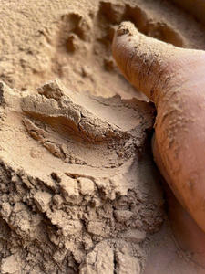 ผง Joss สำหรับการทำธูปผงเปลือก Litsea glutinosa ธรรมชาติจากอุปทานของเวียดนาม /ms. Lima - Product Image 2