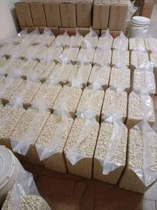 NUEZ DE ANACARDO (W240/W320/W450) - PRECIO COMPETITIVO Y LA MEJOR CALIDAD - Product Image 6