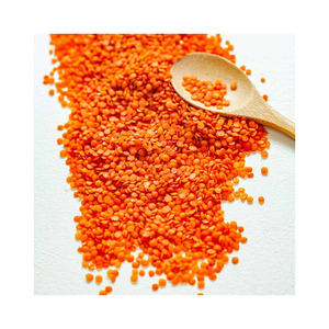 Lentilles rouges de qualité supérieure en vrac, chaîne d'exportation fiable - Product Image 4