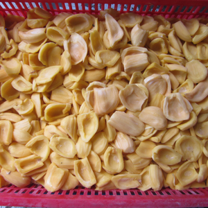 ขนุนออร์แกนิกแช่แข็งพรีเมียมจากเวียดนาม LQF แบบชิ้น ครึ่งลูก และบดละเอียด รสชาติสดใหม่ อร่อย จำหน่ายส่ง ปริมาณมาก สำหรับส่งออก - Product Image 1