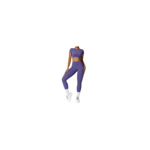 Ensemble de vêtements de sport pour femmes en 2 pièces, ensemble de yoga et de course à pied, imprimé uni, soutien-gorge de sport, débardeur court et short taille haute pour les tenues d'entraînement - Product Image 1