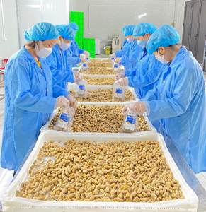 Prix compétitif Cacahuètes bouillies/Cacahuètes bouillies surgelées de meilleure qualité - Product Image 5