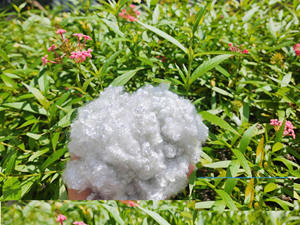 Fibra de Poliéster de Relleno 6Dx32mm HCF-Hollow Conjugated Flame Retardant Staple, Material Ignífugo - Product Image 4