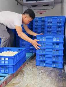 ลิ้นจี่แช่แข็งคุณภาพสูง | การเก็บเกี่ยวสด | อุปทานจำนวนมาก - Product Image 3