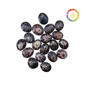 Conchas de Lapa pulidas perfectas para temas interiores y Espectáculos de arte - Product Image 5