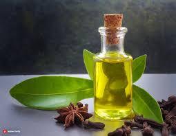 น้ำมันหอมระเหยกานพลูหน่อ100% ธรรมชาติสกัดจากอินเดีย - Product Image 6