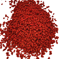Poudre de curcuma rouge fraîchement cuite, complément alimentaire pour poulets - Renforce les muscles