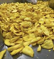 Zongedroogde Jackfruit Van Vietnam Natuurlijk Gedehydrateerd Fruit Voor Snackmix Dessertdecoratie En Geschenkverpakking