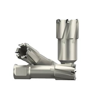 Coupeur annulaire de carbure de tungstène d'OEM de vente chaude avec la finition de revêtement de TCT - Product Image 1