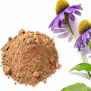 <span class=keywords><strong>Echinacea</strong></span>-extractpoeder 4% / 10% polyfenolen |   Natuurlijk plantaardig ingrediënt voor cosmetica, persoonlijke verzorging en OEM-formuleringen - Product Image 1