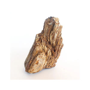 Bois pétrifié de haute qualité disponible au prix d'usine pour les acheteurs en gros - Product Image 2