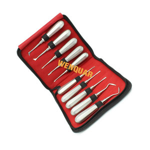 Ensemble de 10 Élévateurs Dentaires Courbes Manuels pour Extraction Dentaire – Prix Direct Usine, Logo Personnalisé, Emballage sur Mesure - Product Image 1