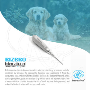 Elevador Dental Canino de Acero Inoxidable de 6 Pulgadas con Punta de 2 mm, Instrumentos Quirúrgicos Reutilizables para Uso en Animales Pequeños - Product Image 2
