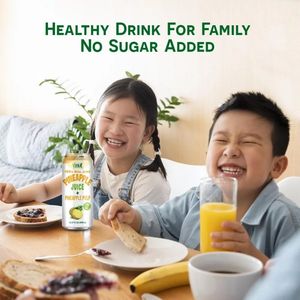 Jus d'orange et de litchi 100% pur, faible en glucides, frais pressé, en canette en aluminium de 490 ml, OEM/ODM, marque privée, fabricant vietnamien - Product Image 3