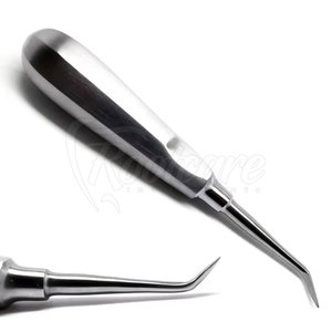 Élévateur radiculaire dentaire professionnel en acier inoxydable, instruments chirurgicaux pour l'extraction dentaire - Product Image 4