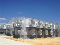 Edificio Prefabricado de Acero para Aves de Corral, para Granjas de Pollos de Engorde, con Sistema de Ventilación y Diseño Personalizado