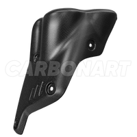 Carbonart - Carenado de Fibra de Carbono Real para DUCATI Diavel V4, Protector Térmico