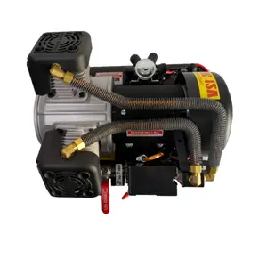 48V High Efficiency Weatherproof Long Duty Cycle DC Oil free Twin Piston Truck Air Compressor Pump for sale