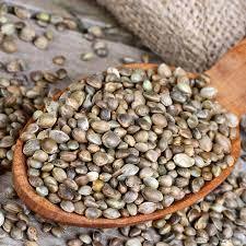 Hạt giống cây gai dầu hữu cơ, đã tách vỏ, mẫu thử miễn phí - Product Image 4