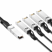 Câble de Brassage DAC 100G QSFP28 4x25G SFP28 de Haute Qualité pour Interconnexion d'Équipements de Cloud Computing et Réseaux d'Entreprise 5G POE