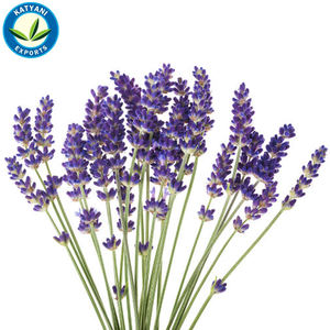 Parfum de lavande pour huiles de massage - Product Image 4