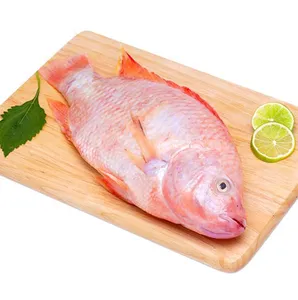 Vente en gros hgc noir poisson tilapia écaillé rond éviscéré poisson tilapia congelé 300g à 500 200g gs 2000g wgs 10kg