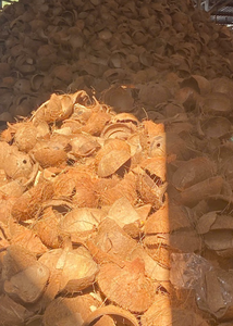 Cáscara de Coco Natural Premium para la Fabricación de Carbón Vegetal y Artesanías - Product Image 3