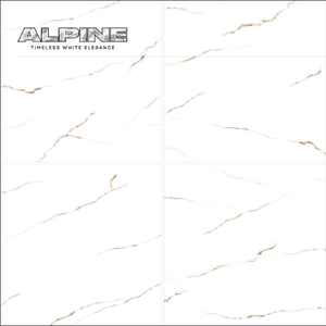 Alpine Elegance HD-464 600x600mm Carreaux de marbre blanc Surface brillante Carreaux de mur et de sol Application Novac Céramique - Product Image 1