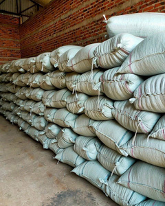 Bulk Vietnam Green <b>Coffee</b> <b>Beans</b> - Grade 1 Screen 18 Robusta - Raw Unroasted <b>Coffee</b> for Home Roasting Arabica <b>coffee</b> Robusta - Product Image 6