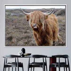 Art sur toile de bovins des Highlands : Décoration murale de ferme, toile imprimée, TOILE ENCADRÉE BLANCHE - Product Image 1