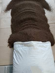 Pinhead Poivre Noir Moins Cher Petite Taille Haute Qualité Grande Quantité En Gros Exportation MR THOMAS 84 789896886 - Product Image 4