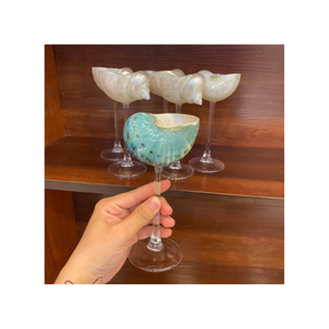 Seashell Cup made of ceramic for coffee and tea drinking perfect for home and office use <b>crafted</b> in Vietnam - Product Image 3