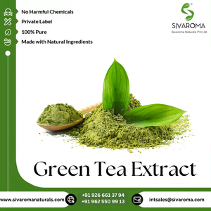 Aceite de Extracto de Té Verde Silvestre, Precio de Fábrica, Nuevo Producto 2024, India, Salud, Cantidad a Granel - Product Image 2