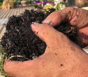 Fourniture de 10 kg de balle de riz brûlé entier, riche en nutriments, adapté aux plantes - Product Image 5